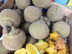 Чупа-чупа или матизия сердечная Чупа-чупа или матизия сердечная