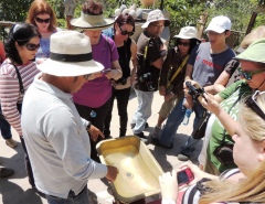 Точно на экваторе вода сливается вертикальным потоком Точно на экваторе вода сливается вертикальным потоком