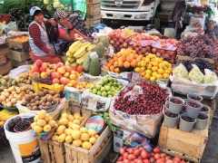 В Эквадоре фрукты зреют круглый год В Эквадоре фрукты зреют круглый год