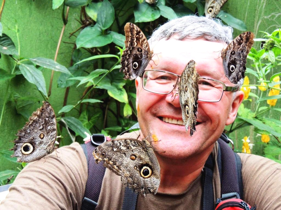 Бабочки очень вас полюбят, если лицо будет в банановом соке Бабочки очень вас полюбят, если лицо будет в банановом соке