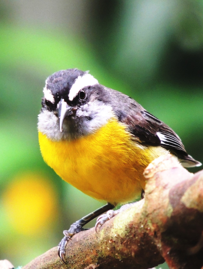 ... необычностью ... необычностью