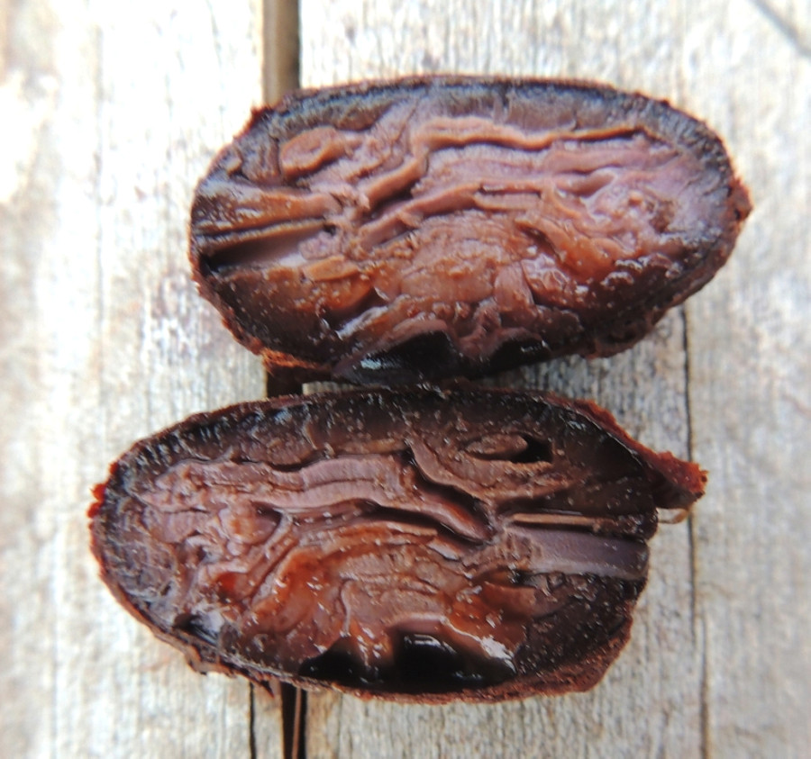 Какао-боб в разрезе Какао-боб в разрезе