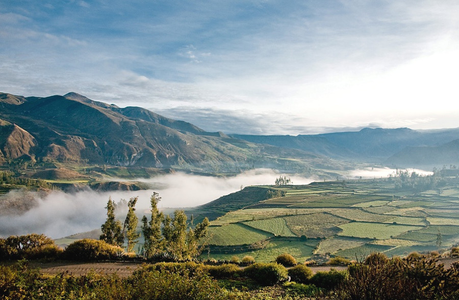 Обрабатываемые индейские поля в верховьях реки Колка Обрабатываемые индейские поля в верховьях реки Колка