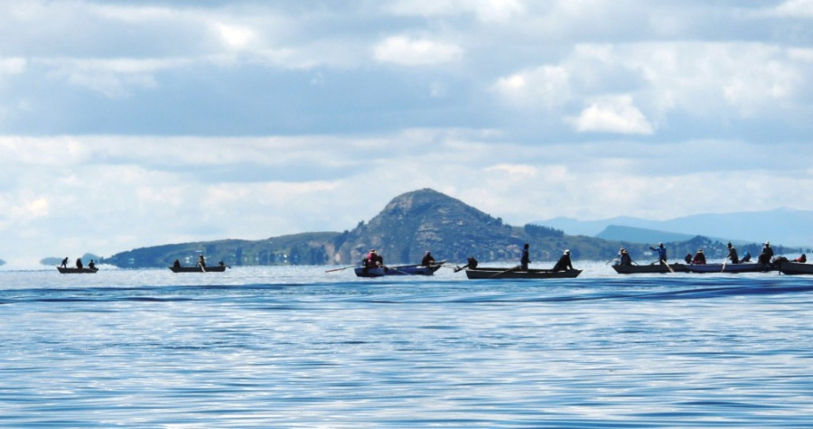 Ловля форели сетями Ловля форели сетями