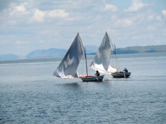 Парусные баркасы Парусные баркасы