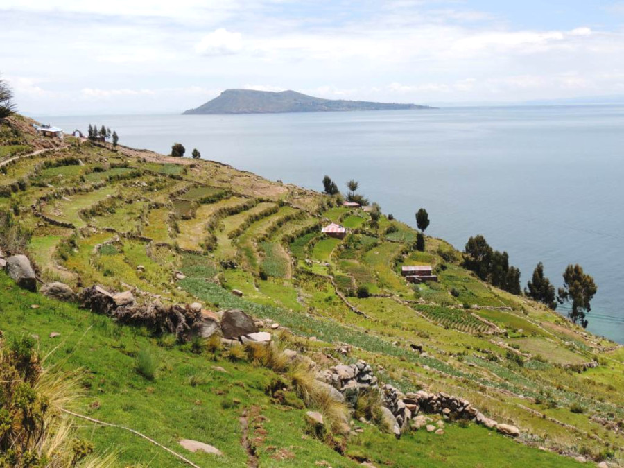 Террасное земледелие на острове Террасное земледелие на острове