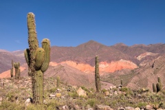 Прекрасная Патагония Прекрасная Патагония