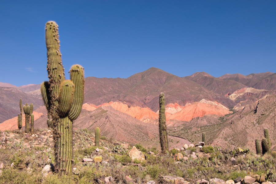 Прекрасная Патагония Прекрасная Патагония
