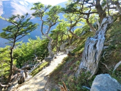 Горная тропа в национальном парке Торрес-дель-Пайне Горная тропа в национальном парке Торрес-дель-Пайне